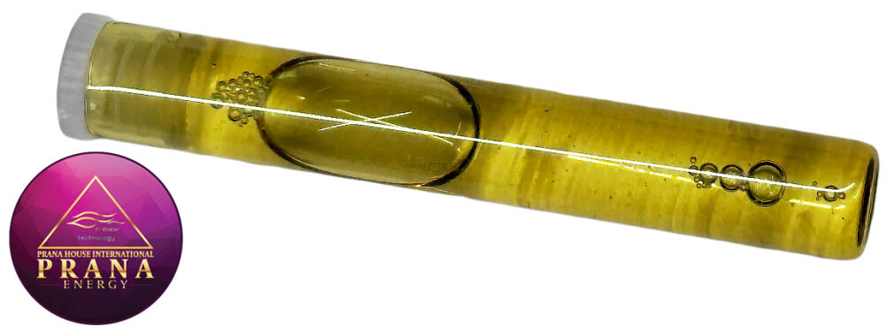 GANS BBG 8 - STIMULIN