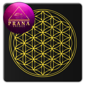 Płytka Tesla® Crystalium prostokątna  - Kwiat Życia - Pochłaniacze Elektrosmogu