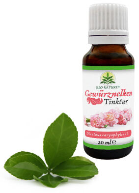 Ekstrakt Wyciąg (Nalewka) z goździków 20ml