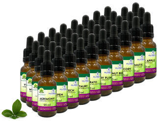 Zestaw 38 Kompozycji HealingHerbs 20ml + 2 butelki - 3