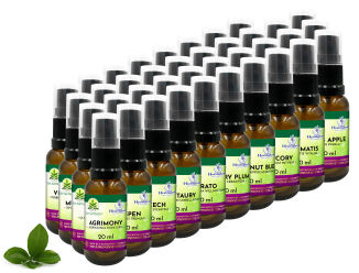 Zestaw 38 Kompozycji HealingHerbs 20ml + 2 butelki - 4