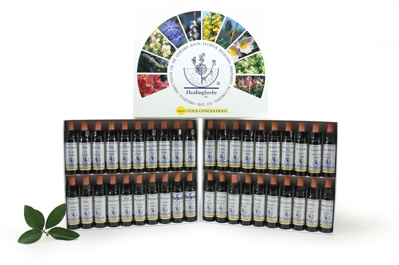 18. IMPATIENS / Niecierpek pospolity 10/30 ml HealingHerbs