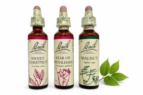 ‎ Zestaw wsparcia w procesie żałoby