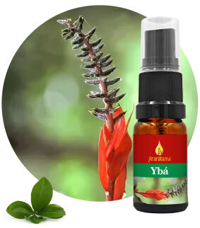 35. Ybá 10 ml Ararêtama Rainforest Essences