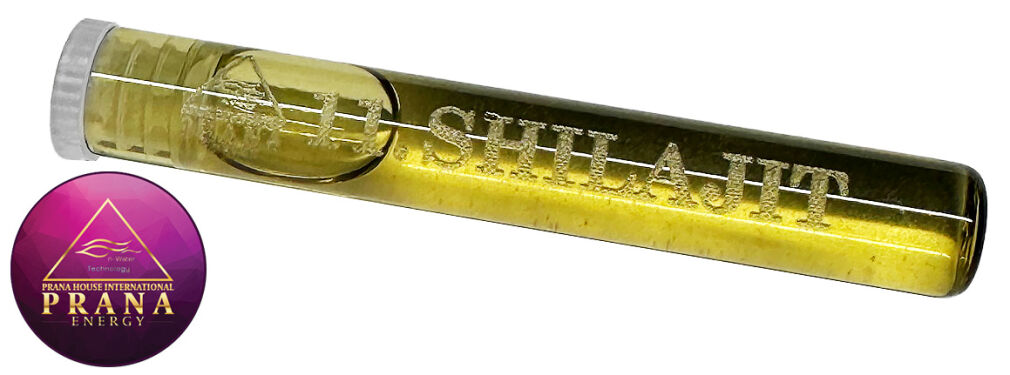 GANS BG 11 - SHILAJIT