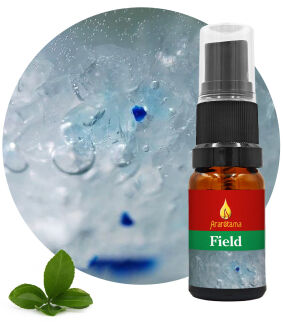 11. Field 10 ml Ararêtama Rainforest Essences