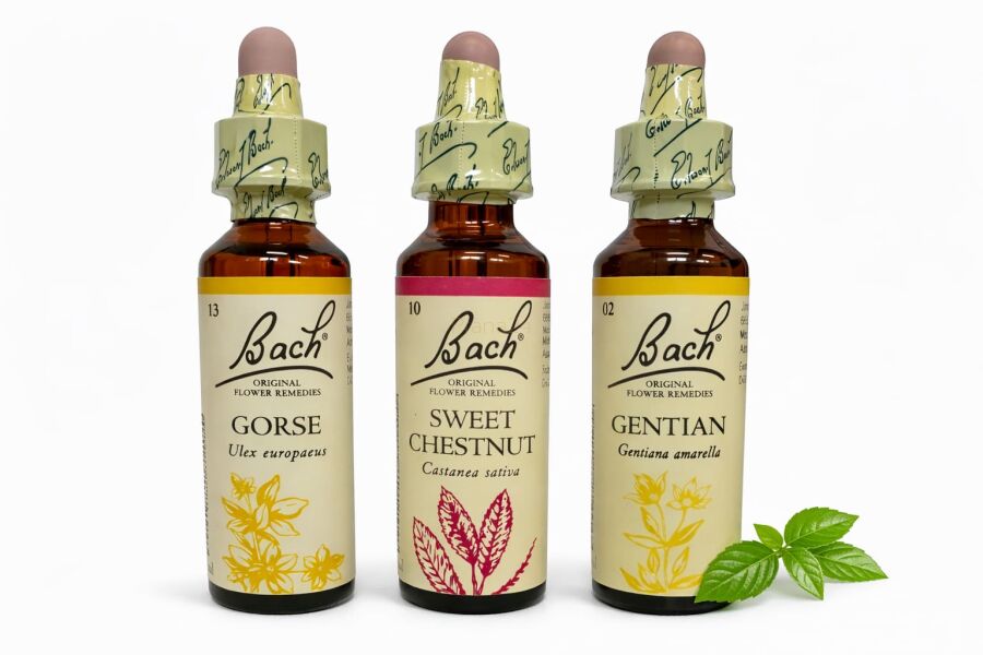 ‎ Zestaw wsparcia w stanie braku nadziei