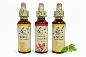 ‎ Zestaw wsparcia w stanie braku nadziei