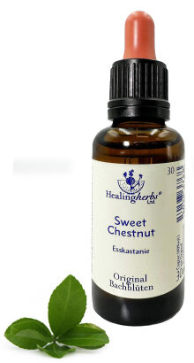 30. SWEET CHESTNUT / Kasztan jadalny 10/30 ml HealingHerbs