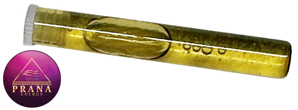 GANS BBG 6 - COLLAGEN