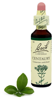 04. CENTAURY / Tysiącznik pospolity 20 ml Nelson Bach Original Flower Remedies