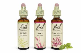 ‎ Zestaw wsparcia w doświadczeniu choroby