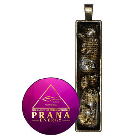 Zawieszka Prana Energy PE 11