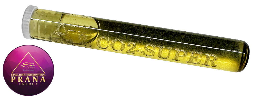 GANS BG 2 - CO2 - SUPER