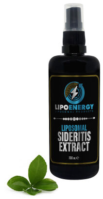 Liposomalny Ekstrakt, nalewka z gojnika 100 ml LipoEnergy