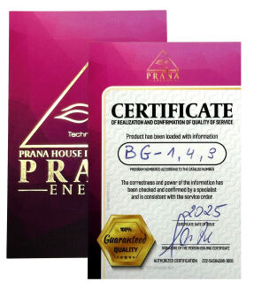 GANS BG 7 - CO2 - ZNO - 2