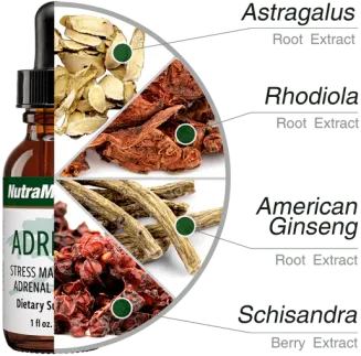 Adrenal NutraMedix 30ml - 2