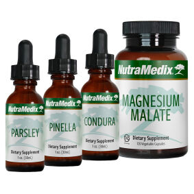 BÓLE GŁOWY, MIGRENY - zestaw wg. protokołu NUTRAMEDIX