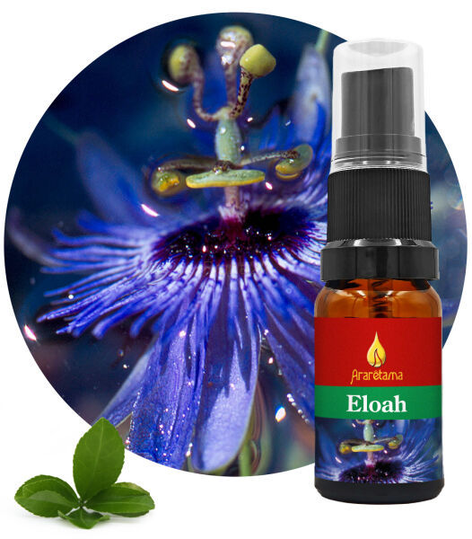 09. Eloah 10 ml Ararêtama Rainforest Essences
