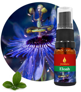 09. Eloah 10 ml Ararêtama Rainforest Essences