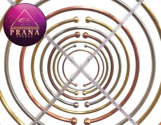 2 anteny Lakhovsky z czarnymi stopkami - 3