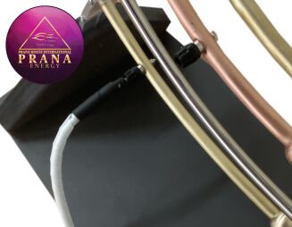 2 anteny Lakhovsky z czarnymi stopkami - 5