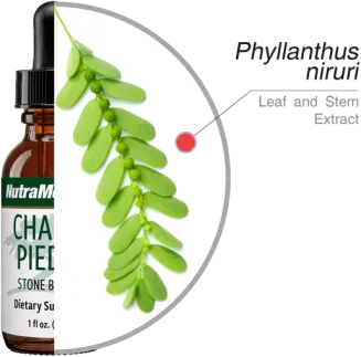 Chanca Piedra Nutramedix 30ml - 2