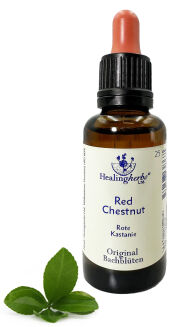 25. RED CHESTNUT / Kasztanowiec czerwony 10/30 ml HealingHerbs - 2