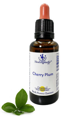 06. CHERRY PLUM / Śliwa wiśniowa / Ałycza 10/30 ml HealingHerbs