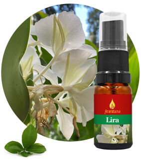50. Lira 10 ml Ararêtama Rainforest Essences