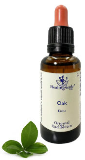 22. OAK / Dąb szypułkowy 10/30 ml HealingHerbs - 2