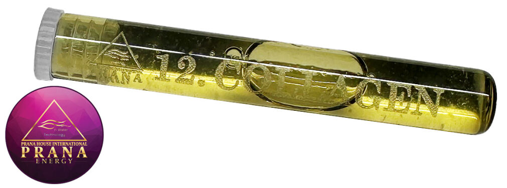 GANS BG 12 - COLLAGEN