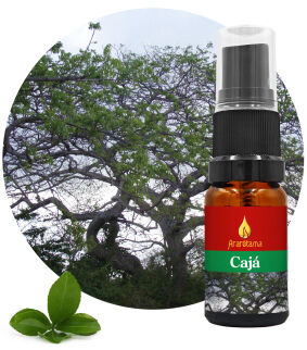 05. Cajá 10 ml Ararêtama Rainforest Essences