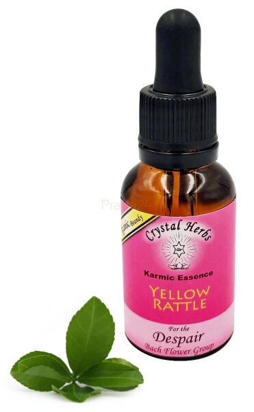 Crystal Herbs – Yellow Rattle (Esencja karmiczna) – 25 ml