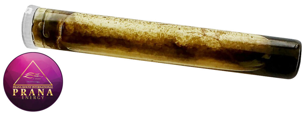 GANS K10 - ŻYWOKOST