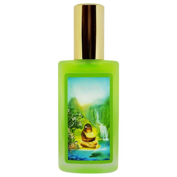 Esencje Wrota duszy Seelenkraft - Siła duszy - SC-706