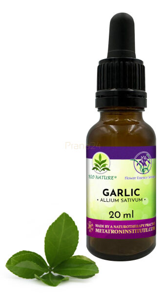 037. Garlic - Kompozycja FES 20ml