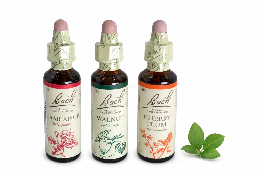 Zestaw antynikotynowy – wsparcie w procesie rzucania palenia