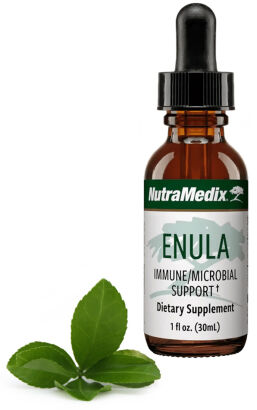 Enula - Microbial Defence NutraMedix