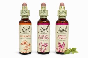 ‎ Zestaw wsparcia w doświadczeniu traumy