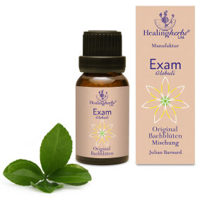 Granulki Bacha Egzamin - 15g