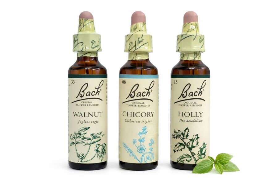 ‎ Zestaw harmonii w relacjach