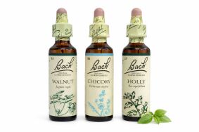 ‎ Zestaw harmonii w relacjach