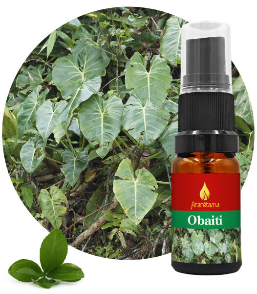 20. Obaiti 10 ml Ararêtama Rainforest Essences