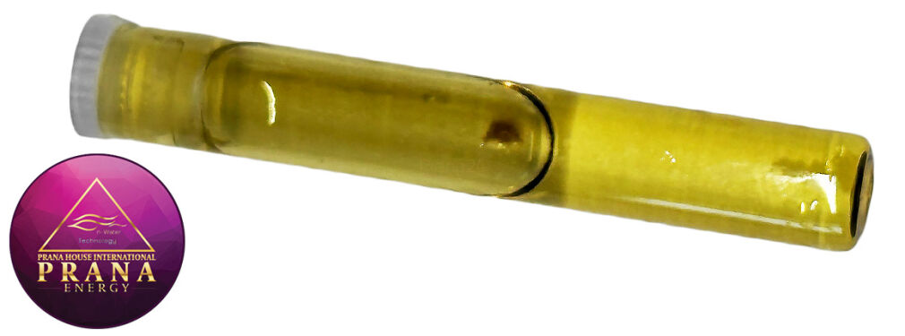 GANS BBG 9 - AMAZON TONIC