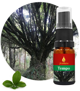 61. Time Tempo 10 ml Ararêtama Rainforest Essences