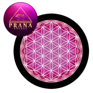 Płytka Tesla® Crystalium płytka samoprzylepna Z NADRUKIEM - okrągła  - Pochłaniacze Elektrosmogu - 2