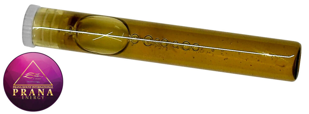 GANS BBG 25 - MORINGA