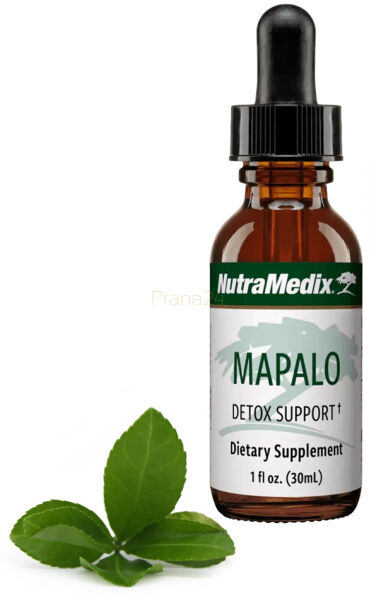 Mapalo Neuro Support 30ml NutraMedix