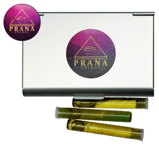 Alu-apteczka podróżna z wkładem piankowym – kolor srebrny na 9 - 2